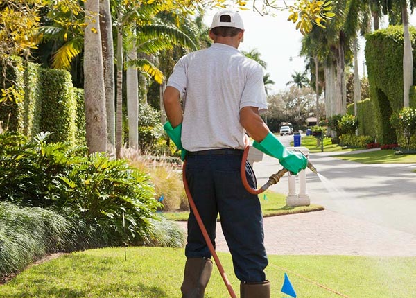 About Allen Park MI Pest Control Pros